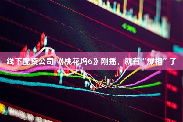 线下配资公司 《桃花坞6》刚播，就有“爆相”了